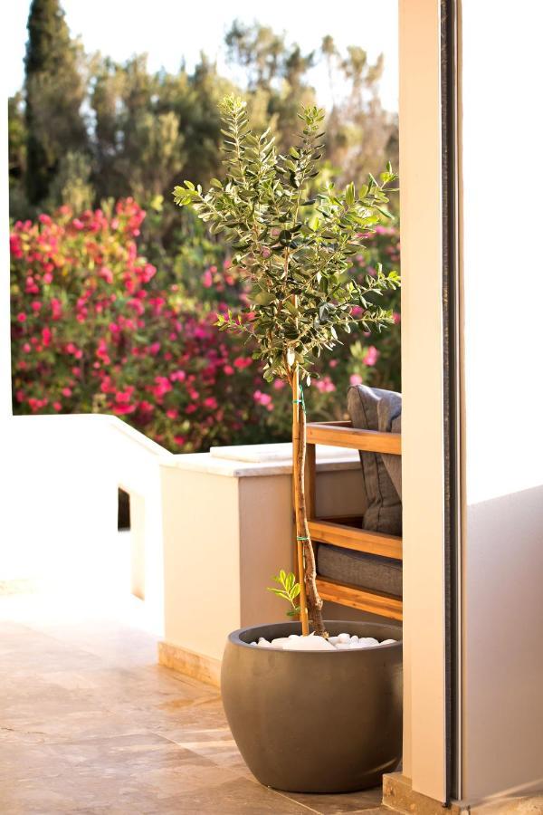 Horizon Hotel Kalymnos Myrties エクステリア 写真